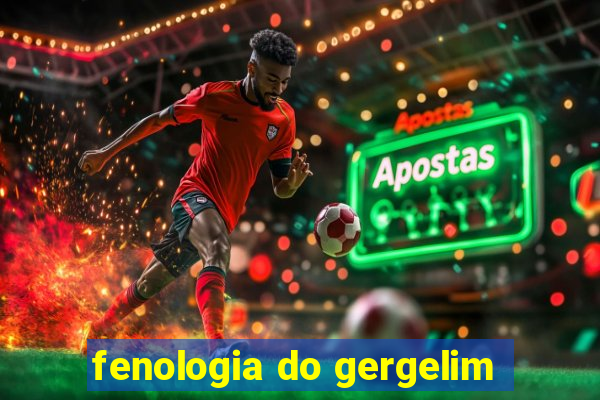 fenologia do gergelim